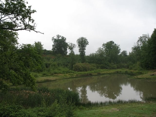 2007 05 Myco porte Baudet 12